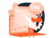 Phân biệt các loại CSS Selector và cách xác định độ ưu tiên